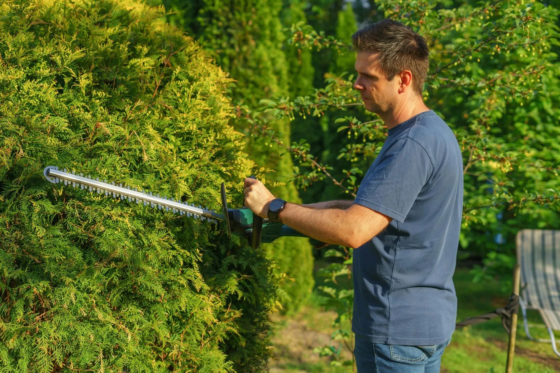 Man trimming a hedge with an electric trimmer. He is wearing a blue shirt. Outdoors.