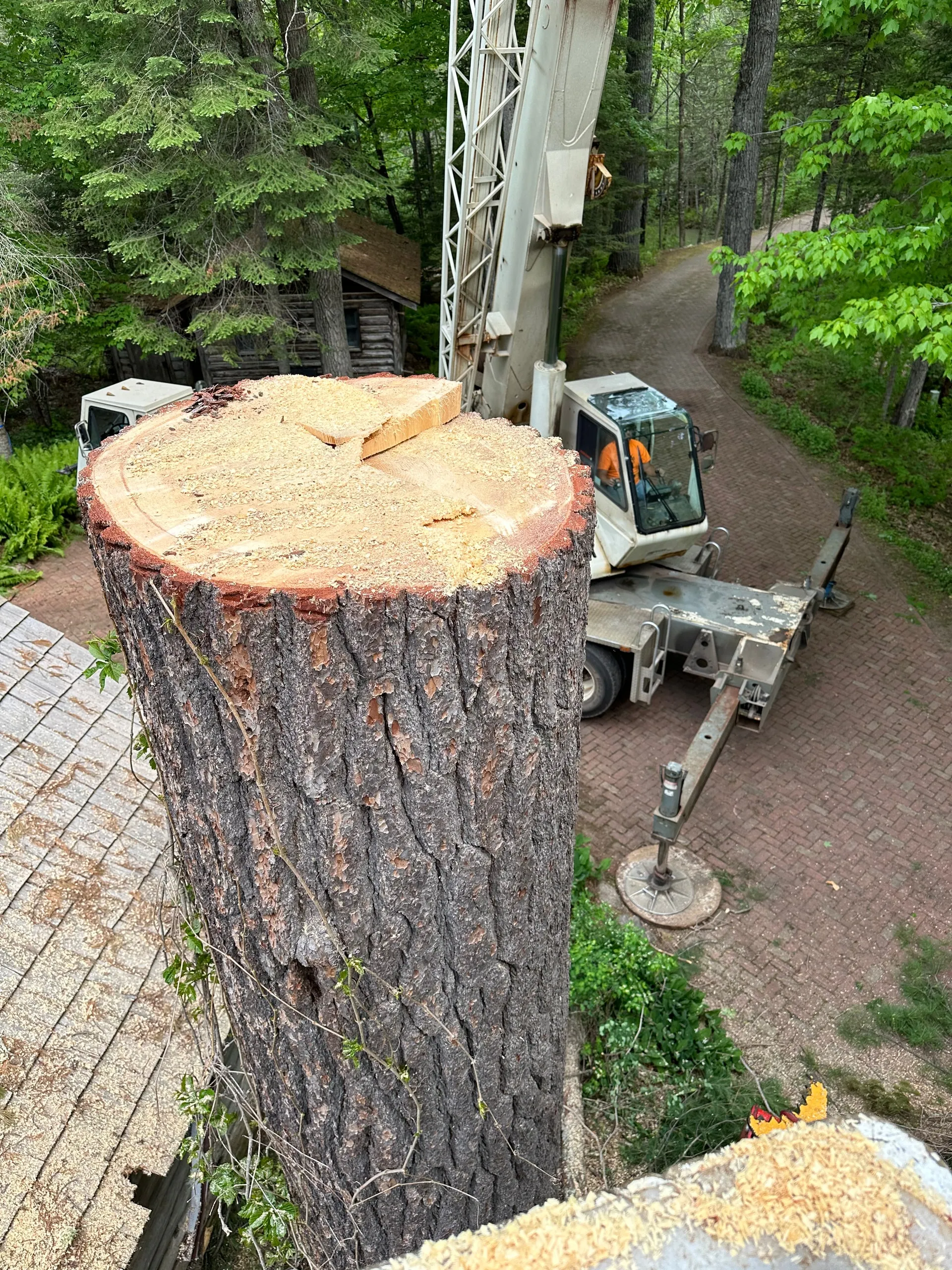 A tree stump on a roof being cut by a crane, with a road and a cabin in the background.