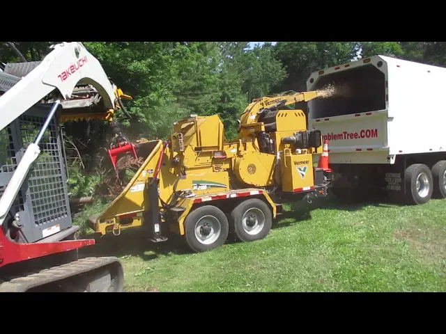 Tree Care in Action