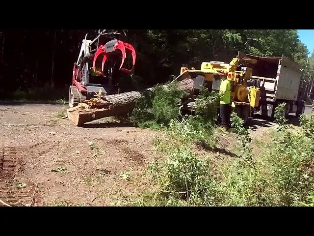 MARK II Skidsteer Grapple