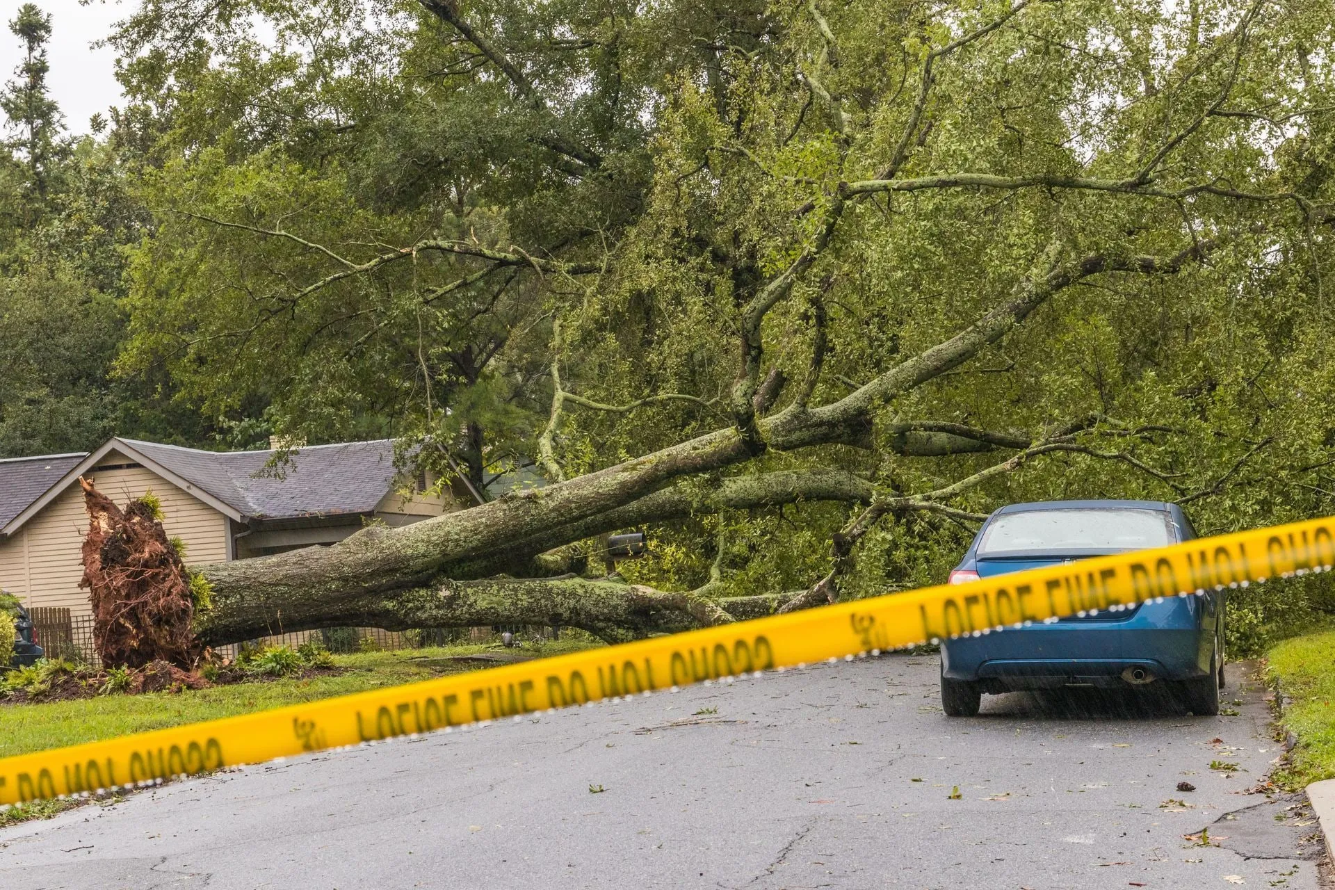 Fallen tree blocking a road next to a house; blue car parked nearby, yellow caution tape across the road.