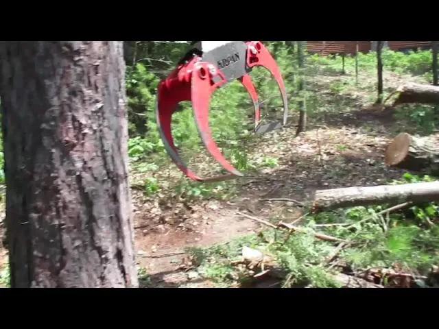 Tree Removal Project