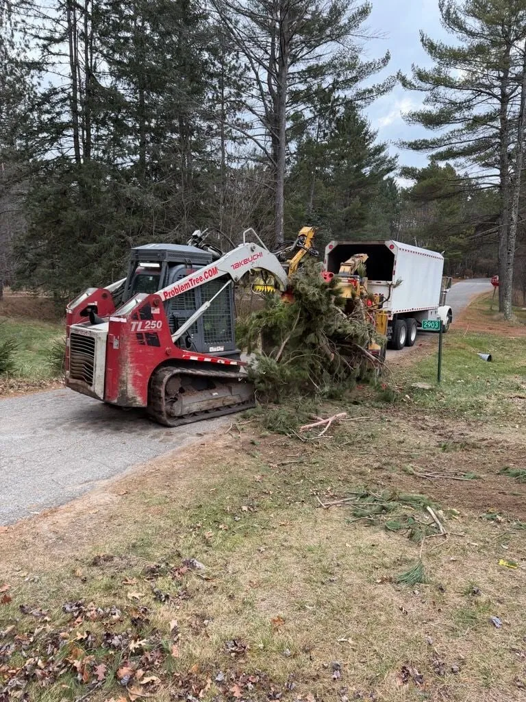 Red skid steer loading tree branches into a wood chipper next to a truck. Outdoors, trees in the background.