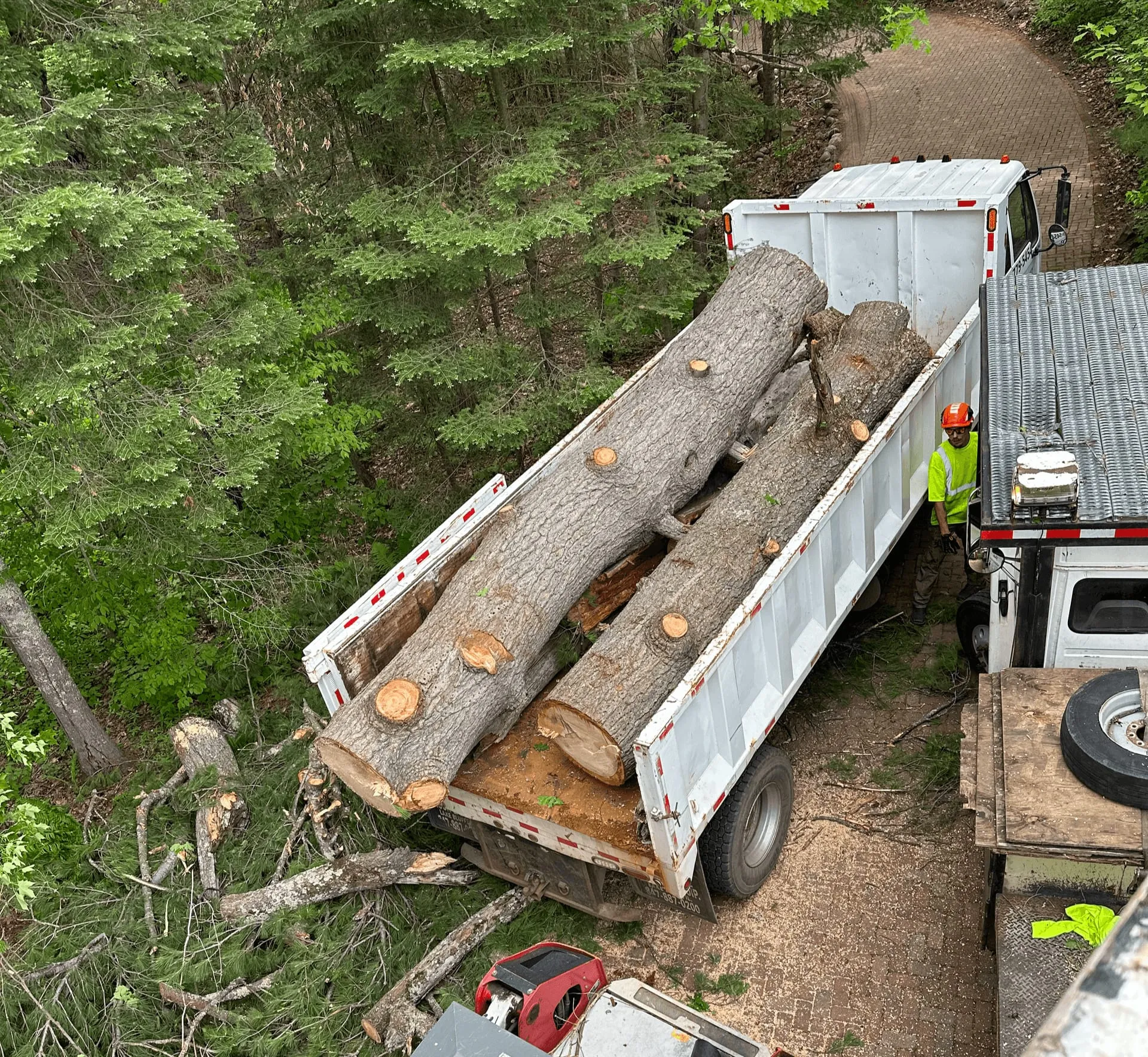 Quality Tree Service crew loading large cut logs into a dump truck on a wooded lot